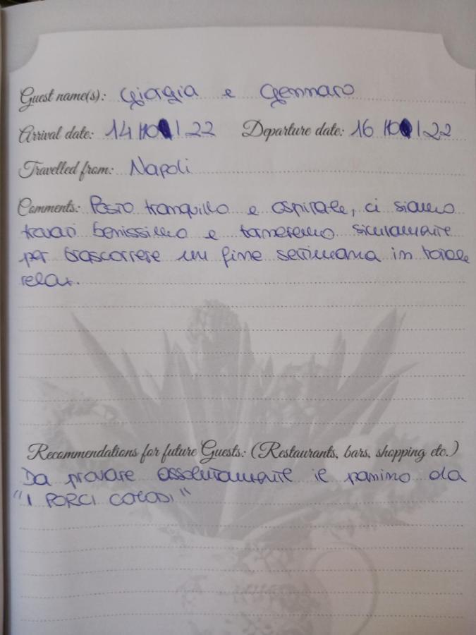 B&B Villino Luschi Pisa Centro Εξωτερικό φωτογραφία